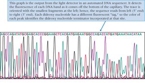 Capillary electrophoresis readout