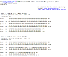 BLAST sequence alignment