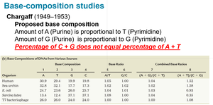Chargaff's base composition table