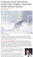 Mouse model with human immune system
