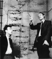 Watson and Crick with DNA model