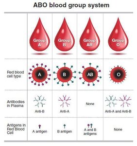 ABO blood group system table