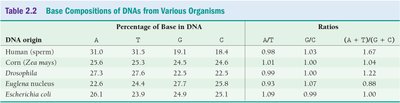 Table of base compositions from various organisms