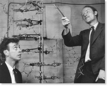 Watson and Crick with DNA model