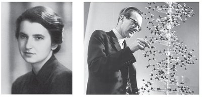 Franklin and Wilkins with DNA model