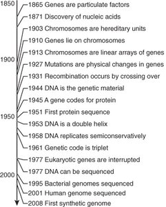 Timeline of key discoveries in genetics