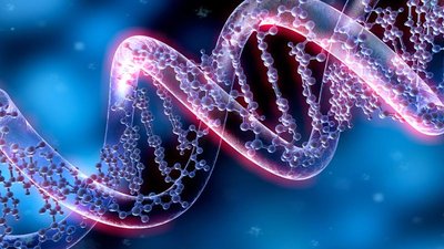 DNA double helix illustration