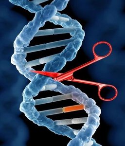 DNA being cut by restriction enzyme illustration