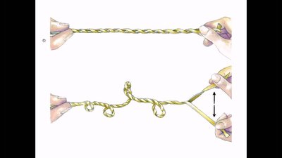 Supercoiling demonstration with twisted rope