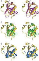 Comparison of protein structures, illustrating the effect of mutations on protein folding