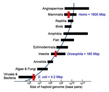 Genome size comparison chart