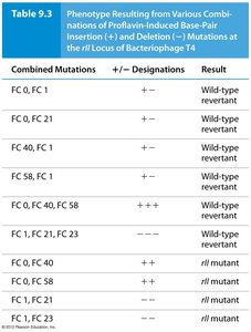 Table of proflavin-induced mutations and revertants