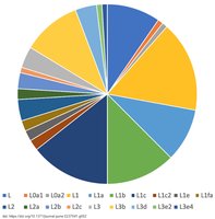Diversity of mitochondrial DNA L-haplogroups among African Americans in the Four City Study