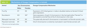 Dosage compensation mechanisms table