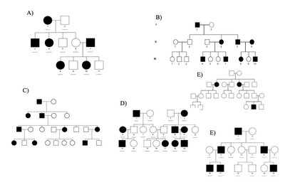 Pedigree diagrams for inheritance mode analysis
