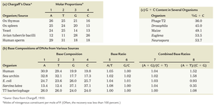 Chargaff's data and base composition table