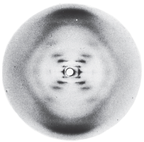 X-ray diffraction pattern of DNA