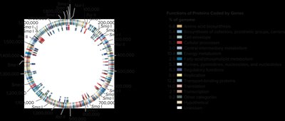 Human cDNA classification