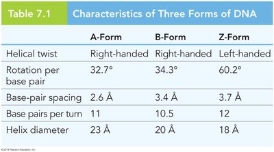 Table: Characteristics of Three Forms of DNA