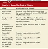 Table of human mitochondrial diseases
