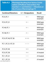 Table of mutation combinations and phenotypes