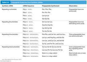 Table of polypeptide production from synthetic mRNAs