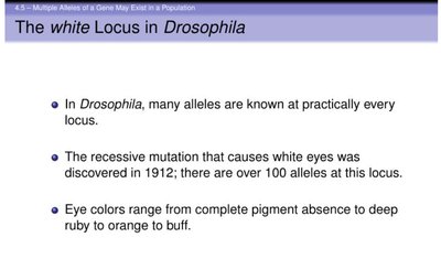 Multiple alleles at the white locus in Drosophila