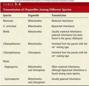 Table of organelle transmission among species