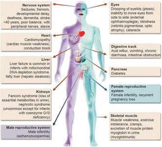 Diagram of mitochondrial disease phenotypes