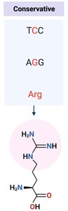 Conservative mutation example