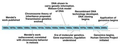 Trihybrid ratio table