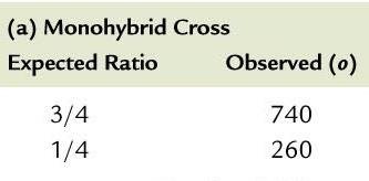 Degrees of freedom table