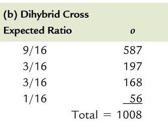 Degrees of freedom table