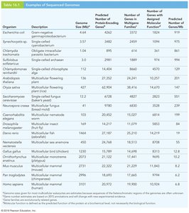 Table of sequenced genomes and gene counts