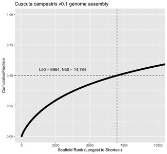Cuscuta campestris v0.1 genome assembly (poor)