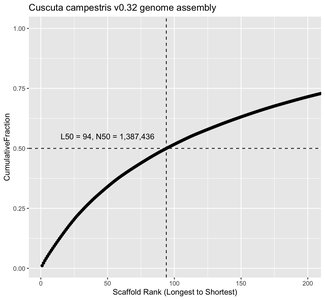 Cuscuta campestris v0.32 genome assembly (improved)