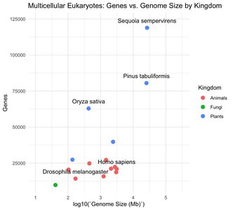 Genes vs. genome size in multicellular eukaryotes