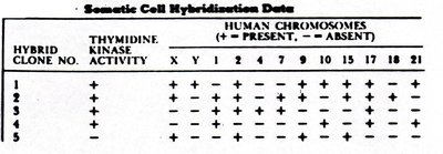Somatic cell hybridization data table