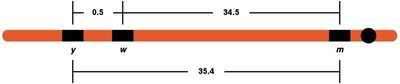 Testcross progeny and recombination calculation