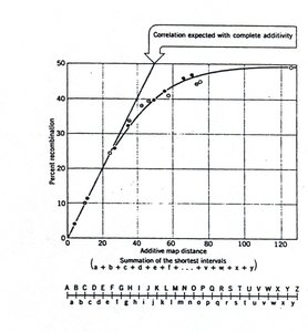 Correlation between map distance and recombination