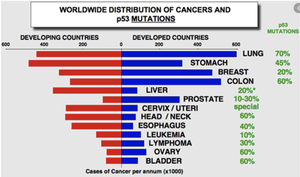 Worldwide distribution of cancers and p53 mutations