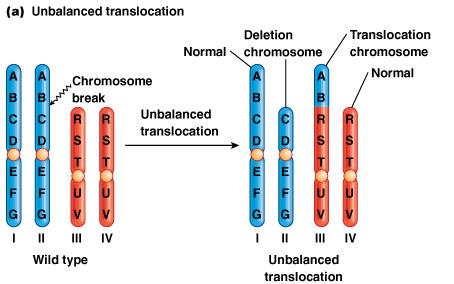Unbalanced translocation