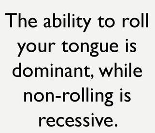 Tongue rolling dominance explanation