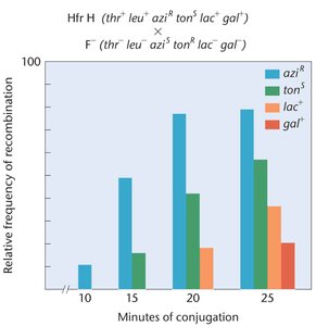 Relative frequency of recombination vs. minutes of conjugation