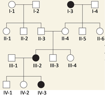pedigree showing 3 affected individuals I3 III2 and IV3