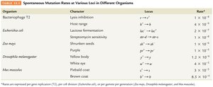 Table of spontaneous mutation rates in various organisms