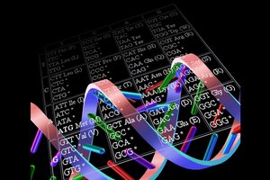 DNA double helix and codon table