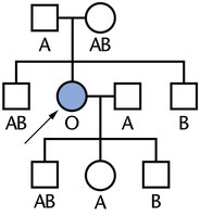 Molecular basis of ABO and Bombay phenotype