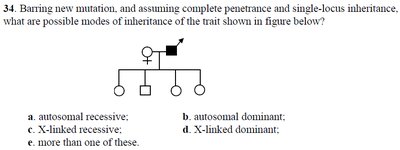 Pedigree diagram