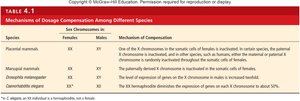 Table of dosage compensation mechanisms among different species